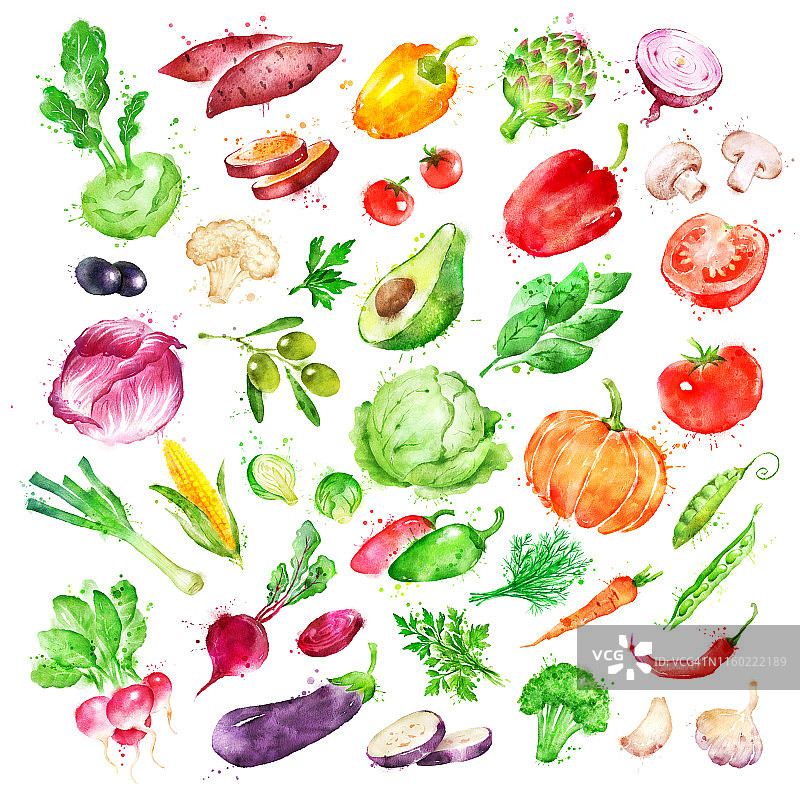 水彩蔬菜插图图片素材