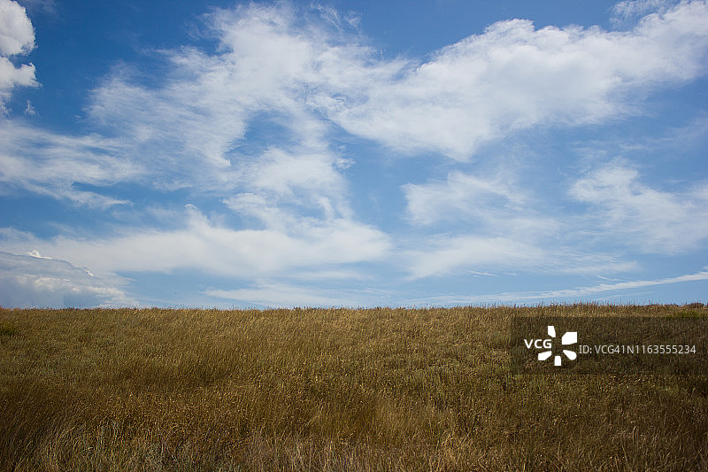 景观，蓝天，草地，田野和地平线的背景图片素材