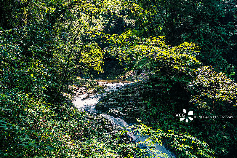 在森林深处，山涧在岩石表面快速流淌。在Akame 48瀑布图片素材