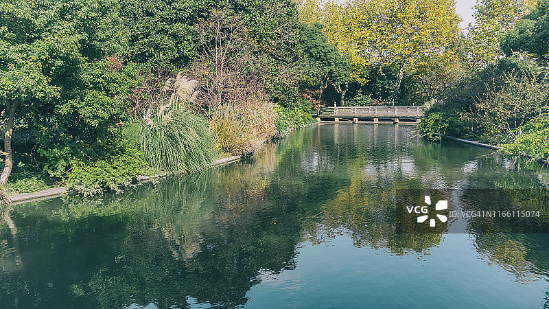 中国杭州西湖上的五颜六色的树木图片素材