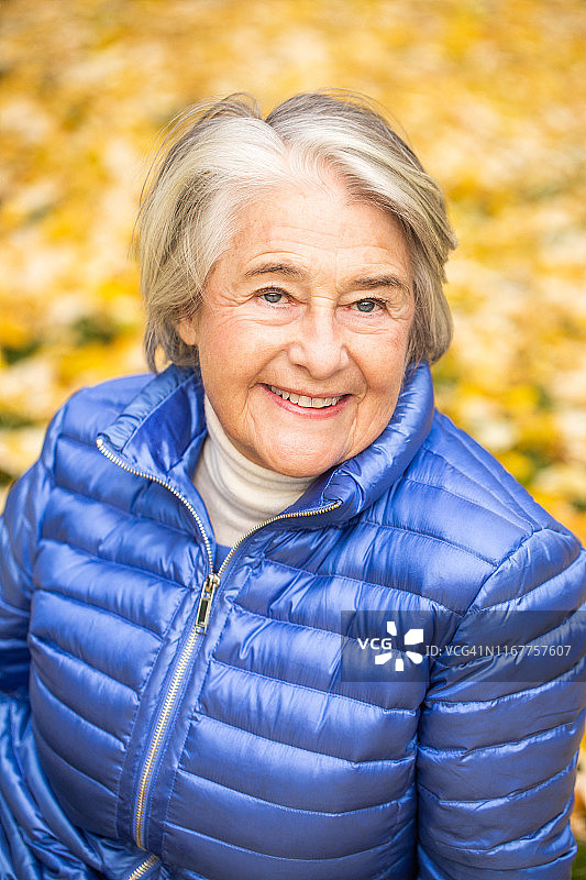 一个微笑的漂亮的老女人的肖像前黄叶。图片素材