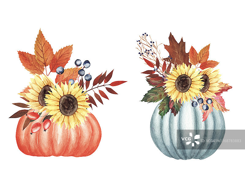 手绘水彩秋天花束与树叶，浆果，花在南瓜孤立在白色的背景。图片素材