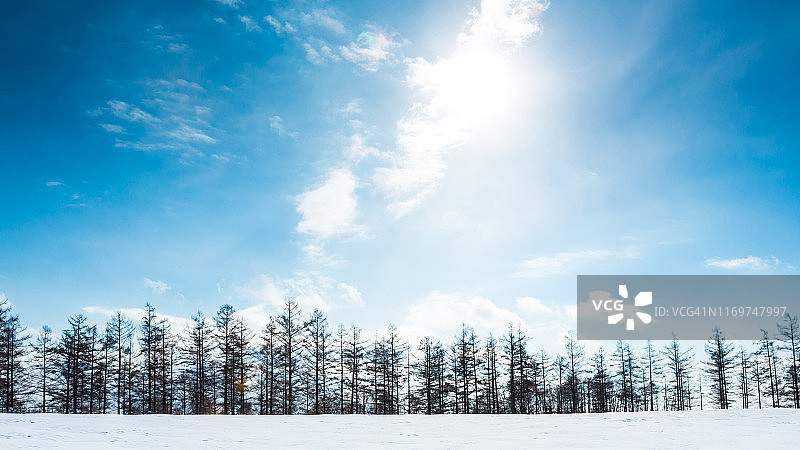 北海道北依的雪山和桦树图片素材