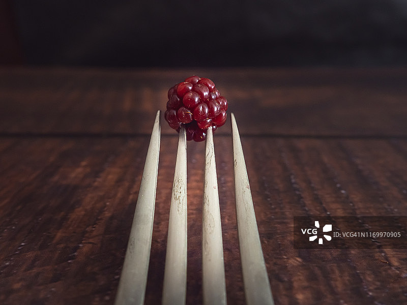 秋天的果实:一把老羊驼叉，上面有刺穿的红黑莓图片素材