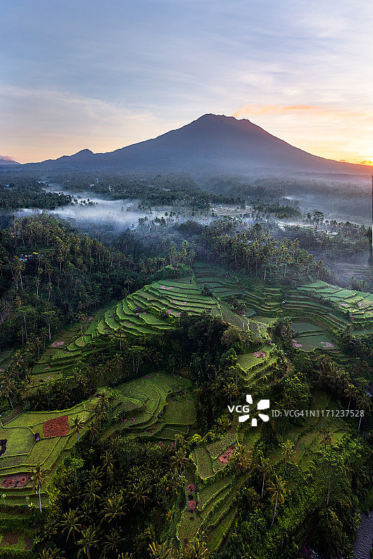 巴厘岛日出时的火山和稻田图片素材