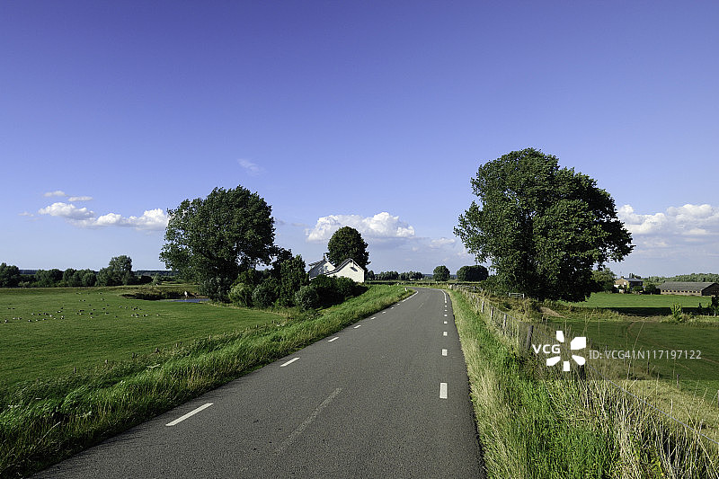 荷兰风景中的乡村道路图片素材