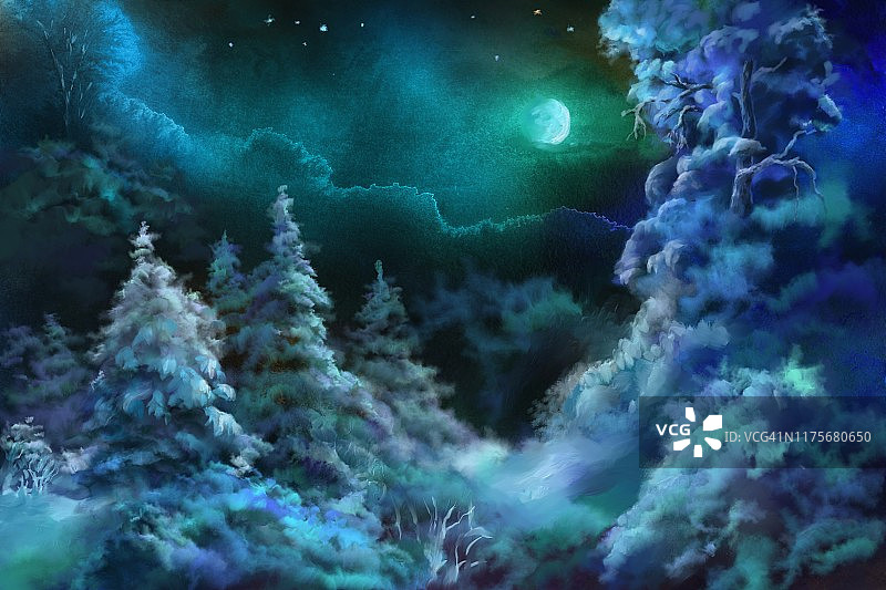 森林里神奇的圣诞夜图片素材