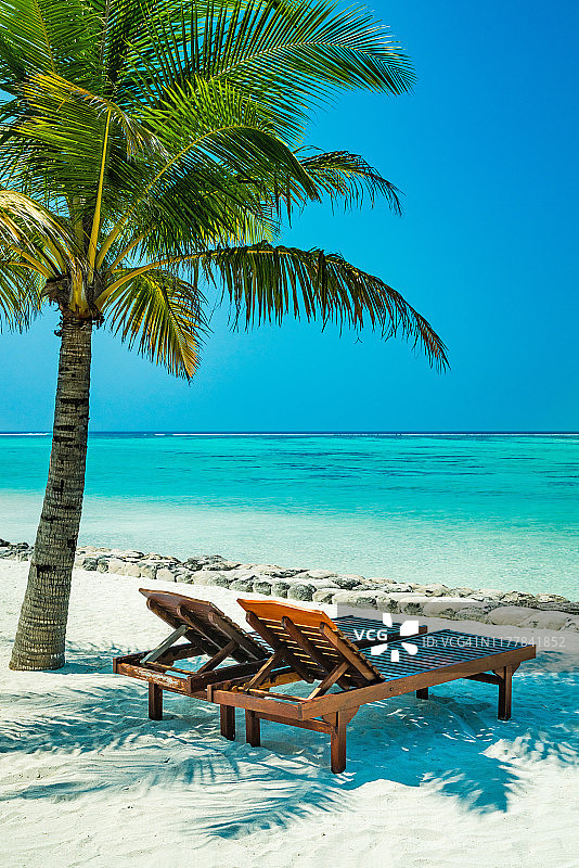 马尔代夫纳拉古赖胡岛太阳岛度假村的日光浴床和棕榈树图片素材