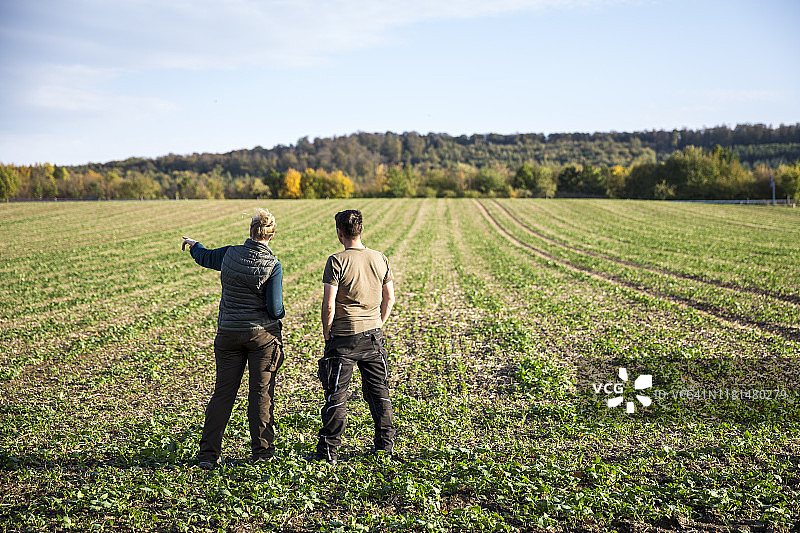 两个农民在农田前看油菜籽苗图片素材