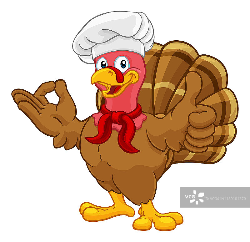 火鸡厨师感恩节或圣诞卡通图片素材