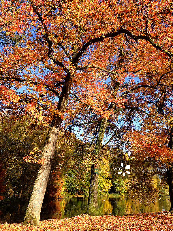 秋天的颜色巴黎法国图片素材
