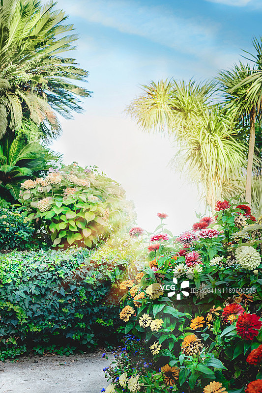 有热带棕榈树和花卉的地中海花园图片素材