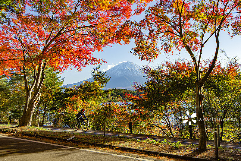 日本川口湖秋日富士山和五彩枫树图片素材