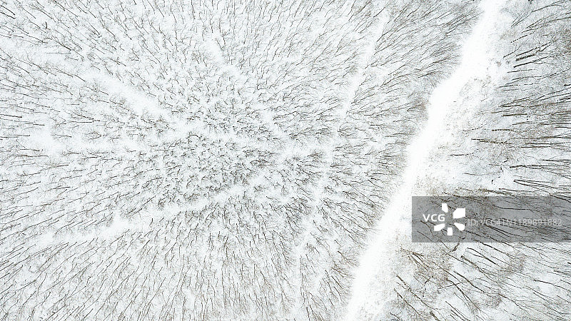 白雪覆盖的树木和景观上的轨迹的高角度视图图片素材