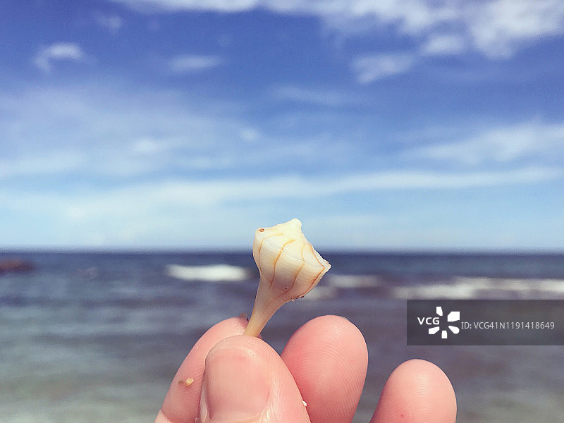 一个在海滩上拿着小贝壳的女人的个人观点图片素材