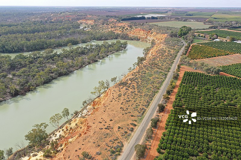 墨累河旁的橘子园。Renmark。南澳大利亚。澳大利亚。图片素材