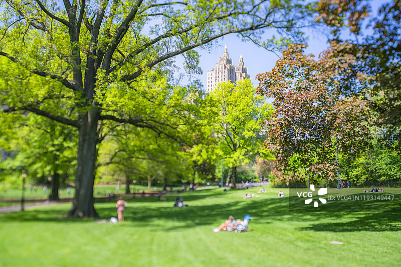 5月8日，人们在美国纽约中央公园的草坪上休息。图片素材