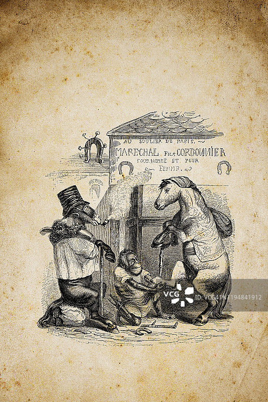 人性化动物插图:猴子清洗马蹄图片素材