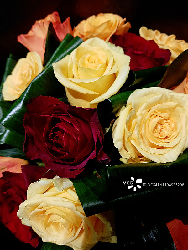 一束黄玫瑰和黑玫瑰，情人节图片素材