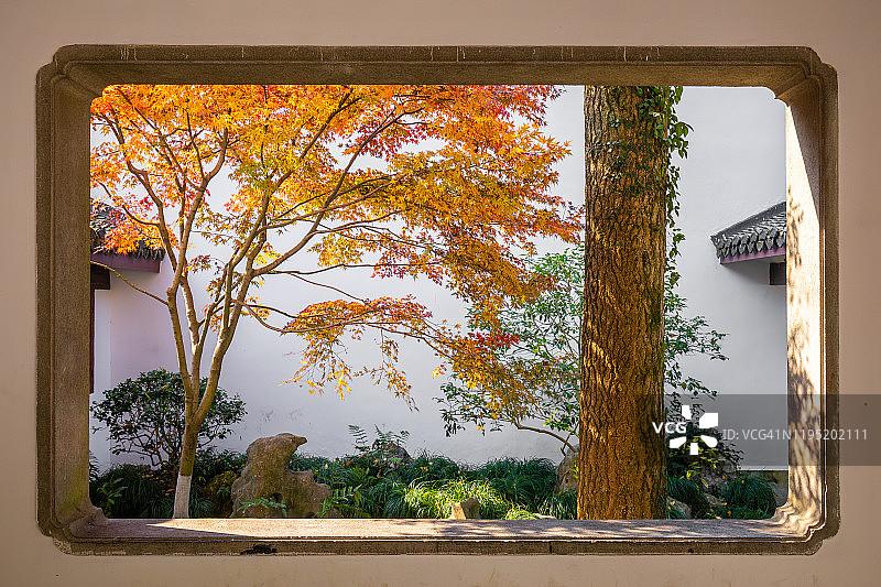 中国杭州绚丽多彩的秋景图片素材