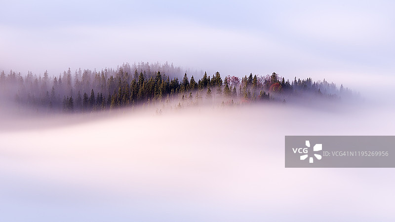 德国阿尔卑斯山松林上空缓慢移动的云图片素材