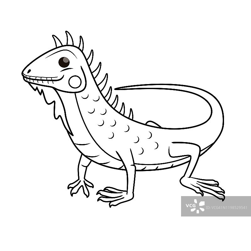 在白色背景上隔离的鬣蜥的矢量插图。儿童涂色书。图片素材