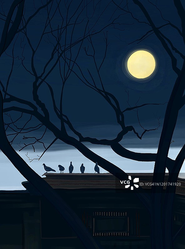 满月和黄昏的鸽子图片素材