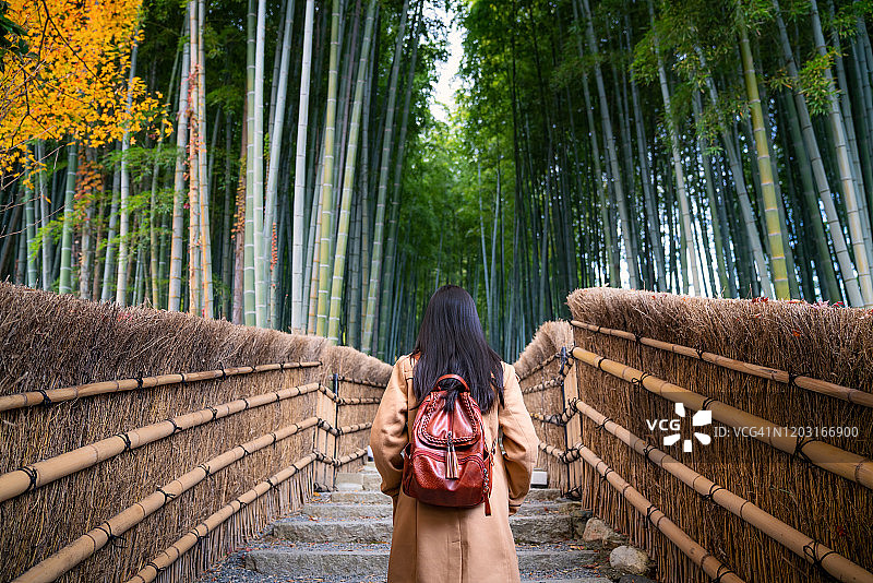 亚洲年轻女子旅行者与背包观光在著名的目的地竹林岚山，京都，日本。日本旅游、历史建筑、传统文化和旅游理念图片素材