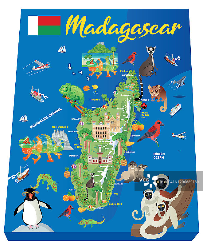 马达加斯加图片素材