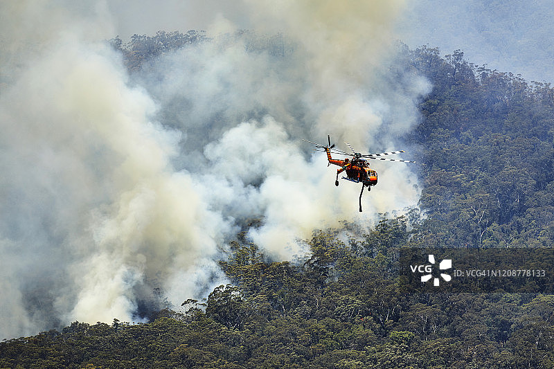 在澳大利亚的桉树山谷，消防直升机用水轰炸森林大火图片素材