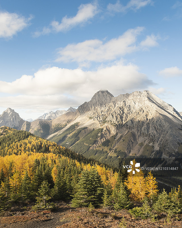 加拿大阿尔伯塔省卡纳纳斯基斯秋天的波卡特拉山脊图片素材