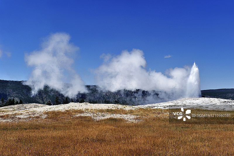 美国黄石国家公园老忠实间歇泉喷发图片素材