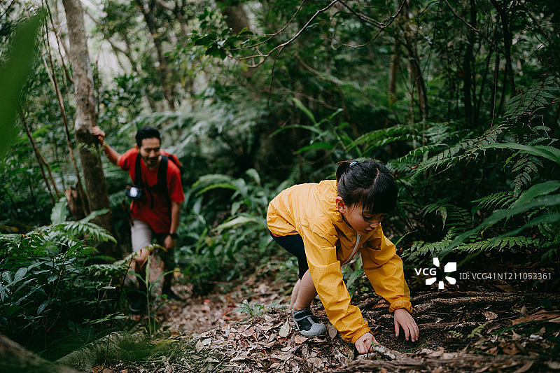 小女孩和爸爸在日本冲绳的热带雨林徒步旅行图片素材