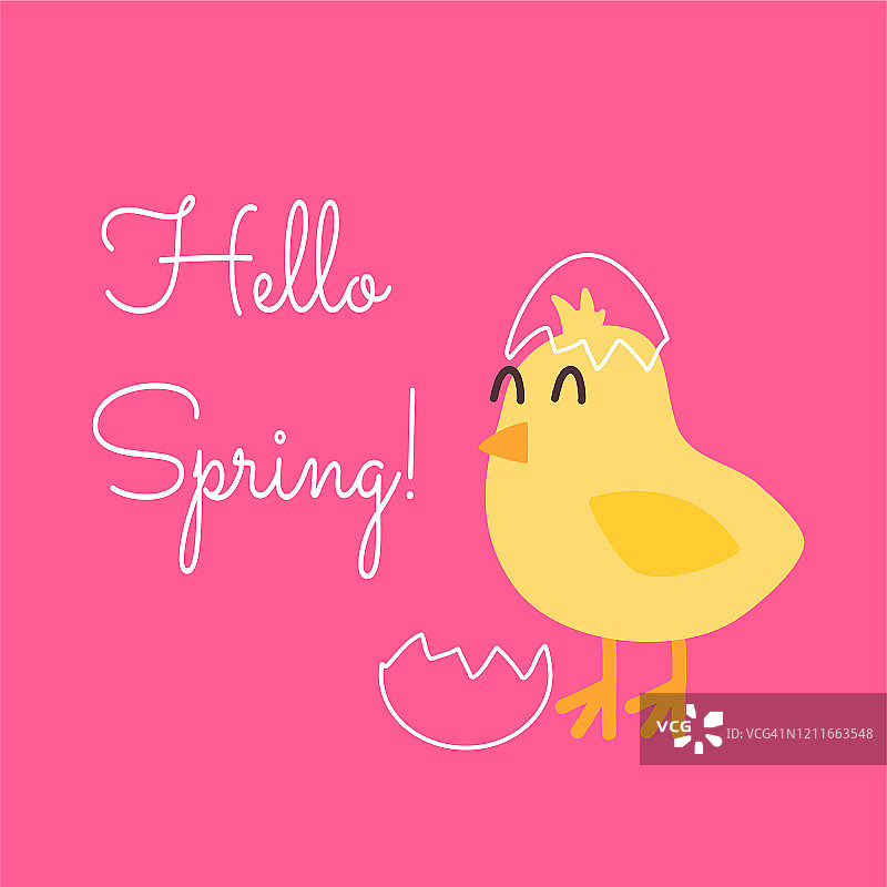 矢量方形贺卡与黄色内壳鸡在粉红色的背景。新生命的到来，迎接春天的到来，觉醒的概念。信你好春天手绘。图片素材