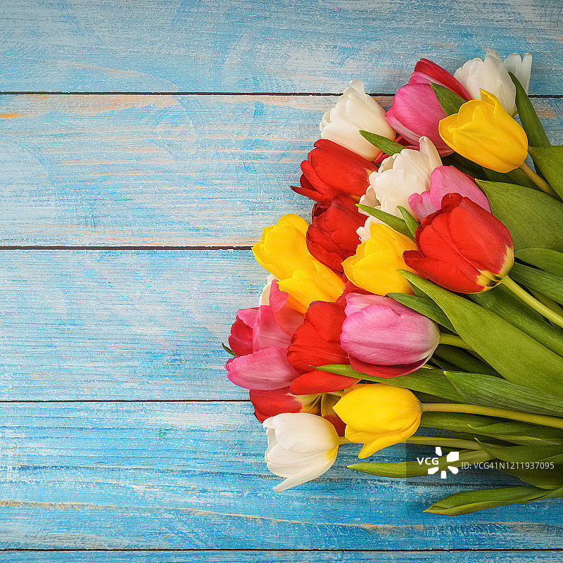 明亮的多色郁金香花束在蓝色木板上的特写。图片素材