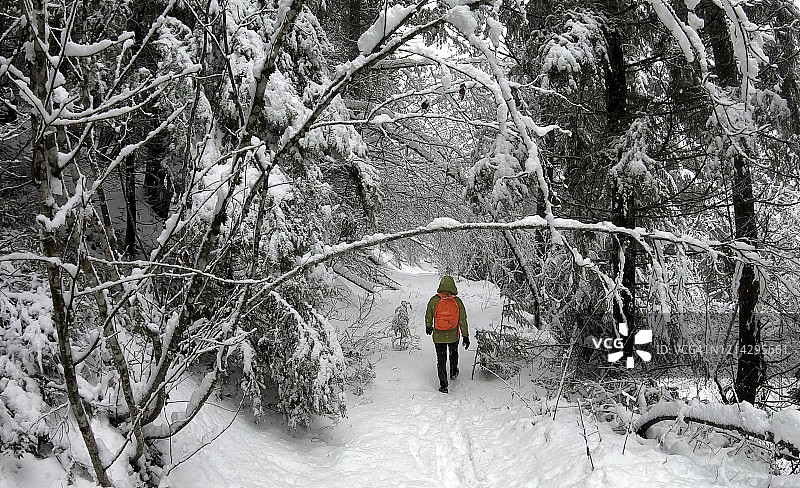 人类徒步穿越雪域森林图片素材