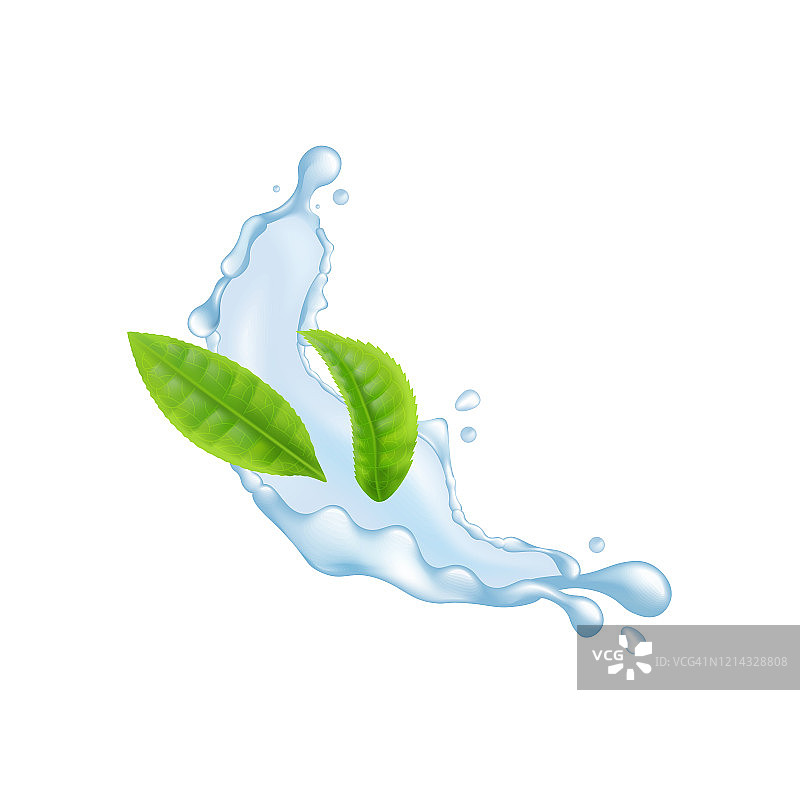 绿叶飞溅着水，孤立在白色的背景上图片素材