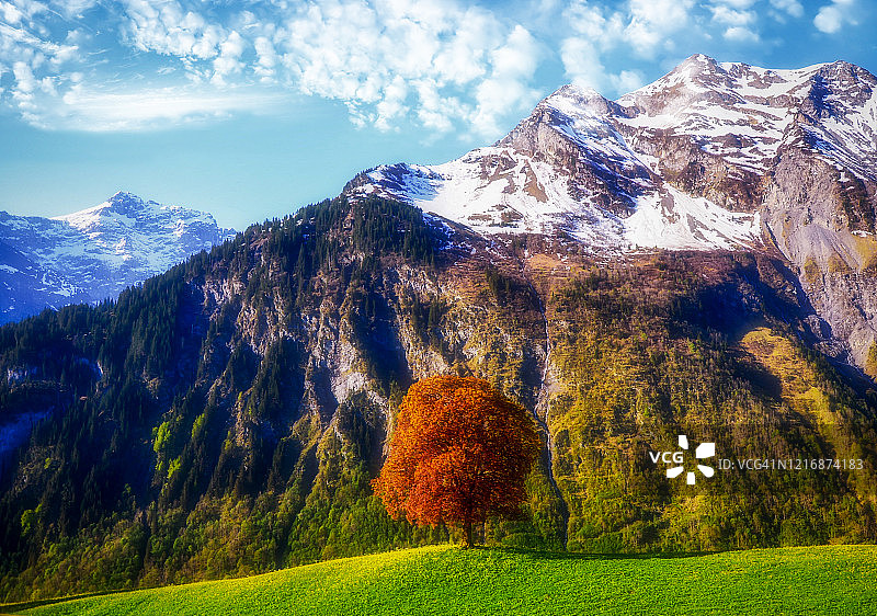 瑞士春天的阿尔卑斯山景观，Uri，瑞士图片素材