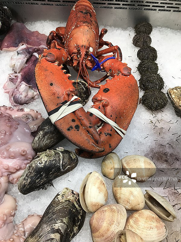 挪威鱼市上的龙虾和贝壳图片素材
