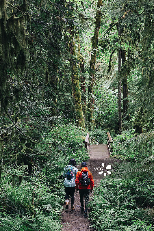 一对年轻夫妇喜欢在太平洋西北部的森林里徒步旅行。图片素材