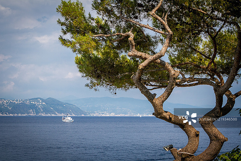 意大利利古里亚海岸的夏季景观，靠近波托菲诺和圣玛格丽塔利古雷图片素材
