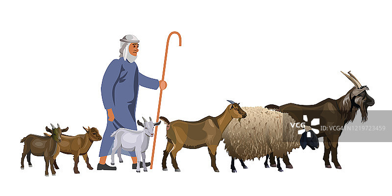 牧羊人牵着一群山羊和绵羊图片素材