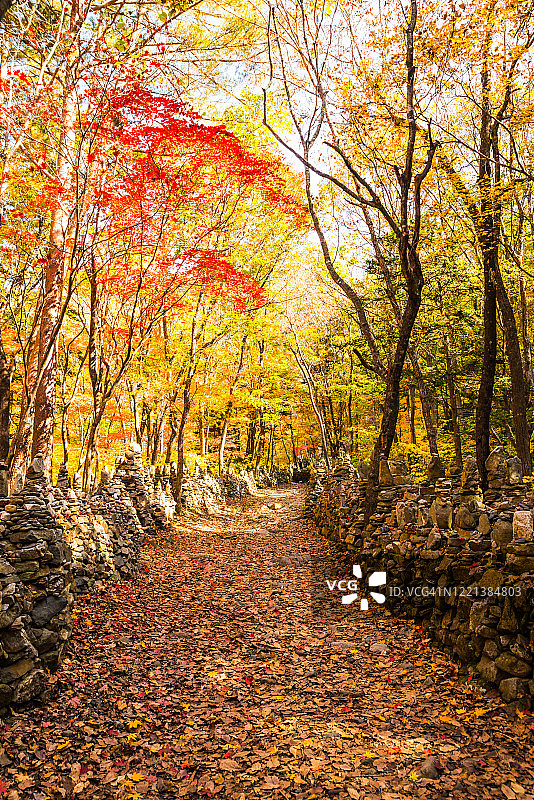 韩国江陵市诺川山莫亭塔路的秋天景观图片素材