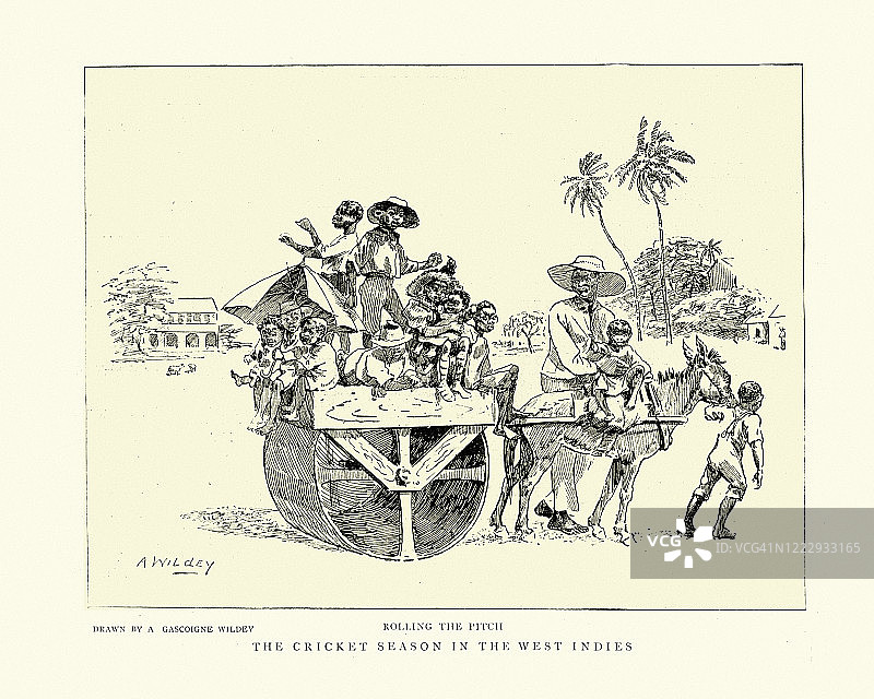 1895年，西印度群岛板球季节，滚球场图片素材