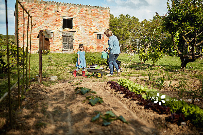 中年母亲和年轻女儿在家庭花园工作图片素材
