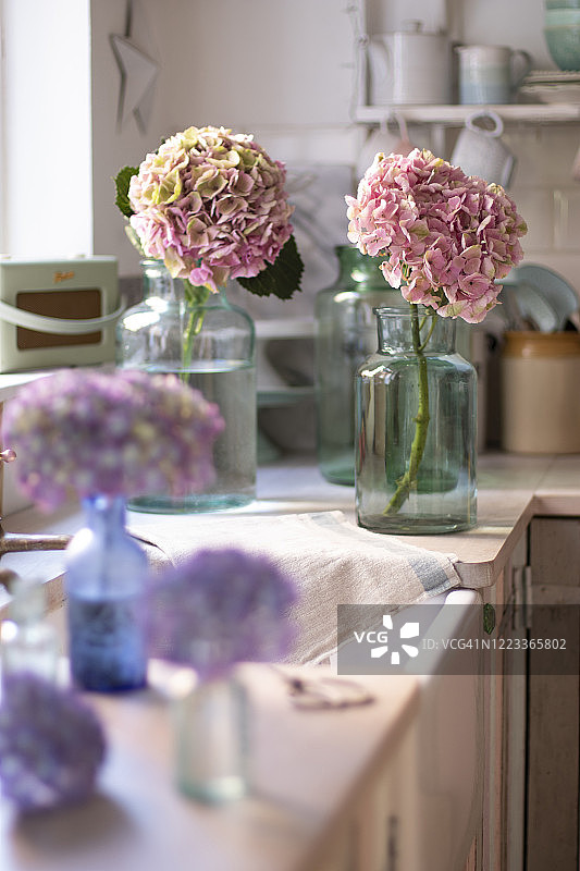 厨房柜台上的玻璃花瓶里装着绣球花图片素材