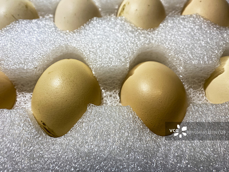 鸡蛋用泡沫塑料包裹图片素材
