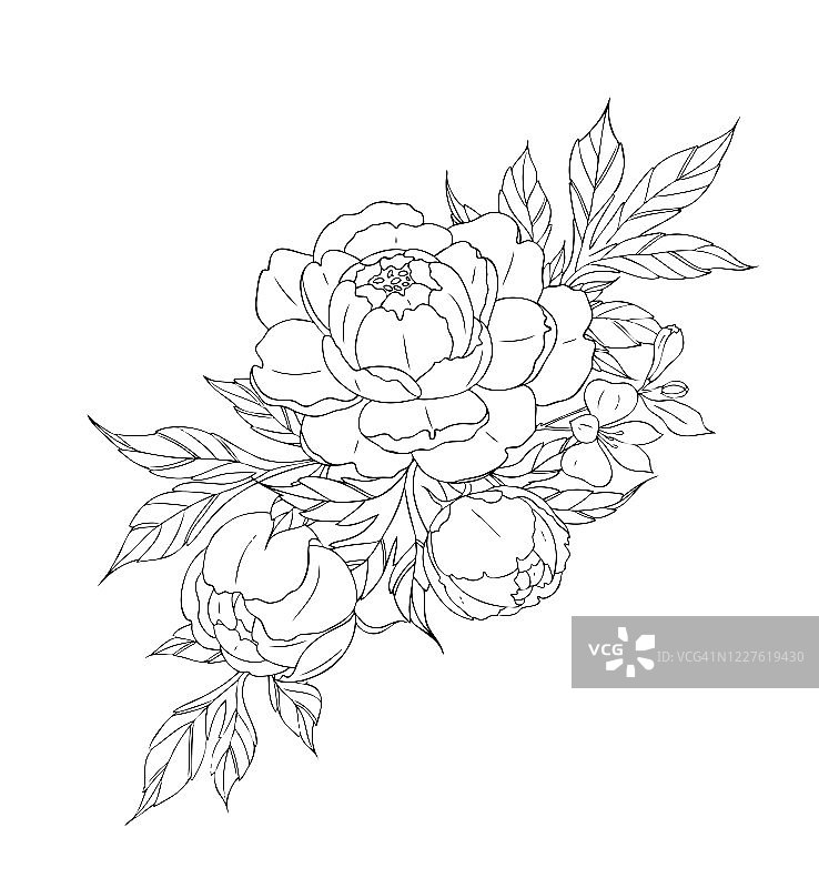 牡丹花叶，纹身图案。黑色线性插图孤立在白色背景上。图片素材
