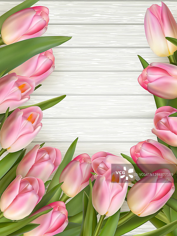 白色木质背景上的粉色郁金香。每股收益10图片素材