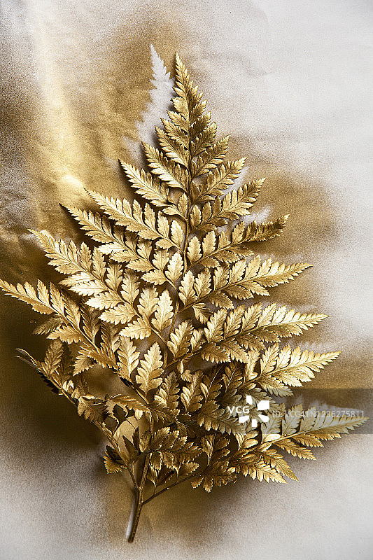 用金色染料绘制的天然树枝图片素材